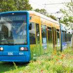 Bei zahlreichen Probefahrten testete die KVG die neue Schienentrasse, die über weite Flächen über Rasengleise führt. Entlang der B7/B83 blüht eine Sommerblumenwiese. Foto: KVG AG/Weidemann Bei zahlreichen Probefahrten testete die KVG die neue Schienentrasse, die über weite Flächen über Rasengleise führt. Entlang der B7/B83 blüht eine Sommerblumenwiese. Foto: KVG AG/Weidemann