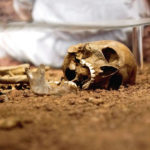 So fand man sie im Januar 2008 auf dem Gelände der Kasseler Universität: die sterblichen Überreste hier Ende 1813 verscharrter Hieronymus-Napoleon-Husaren. Wie diese zu Lebzeiten aussahen, zeigen aufwändige Re-konstruktionen des Naturkundemuseums. Foto: Mario Zgoll