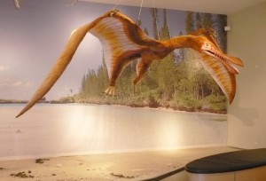Imposante Kreaturen: Nachbildungen von Flugsauriern sind im Naturkundemuseum zu bewundern. Foto: Jan Hendrik Neumann Imposante Kreaturen: Nachbildungen von Flugsauriern sind im Naturkundemuseum zu bewundern. Foto: Jan Hendrik Neumann