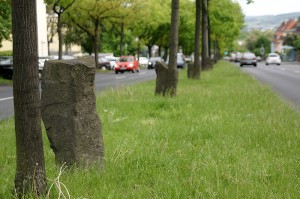 Beuys-Eichen in der Mitte der Ludwig-Mond-Straße. Foto: Mario Zgoll Beuys-Eichen in der Mitte der Ludwig-Mond-Straße. Foto: Mario Zgoll