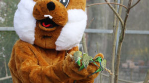 5.000 bunte Eier zu Ostern im Tierpark Sababurg