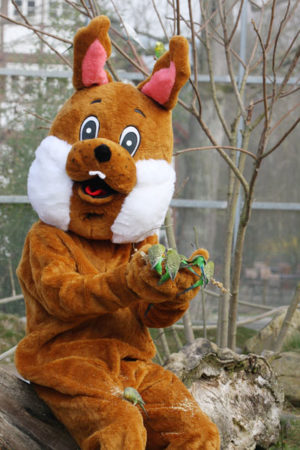 Der Osterhase kommt in den Tierpark Sababurg und verteilt 5.000 Eier. Foto: Tierpark Sababurg