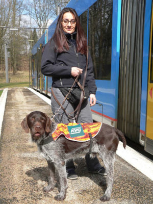 Schwarzfahrerhund Aron von der Brackwarte beim Training. Foto: KVG