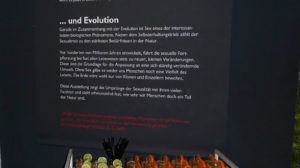 Sex und Evolution: Cocktailstunde im Naturkundemuseum