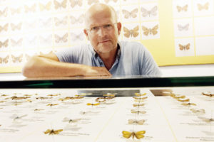 In Sorge um die Welt der Schmetterlinge und ihrer Verwandten: Dr. Kai Füldner, Direktor des Naturkundemuseums im Ottoneum. Foto: Mario Zgoll